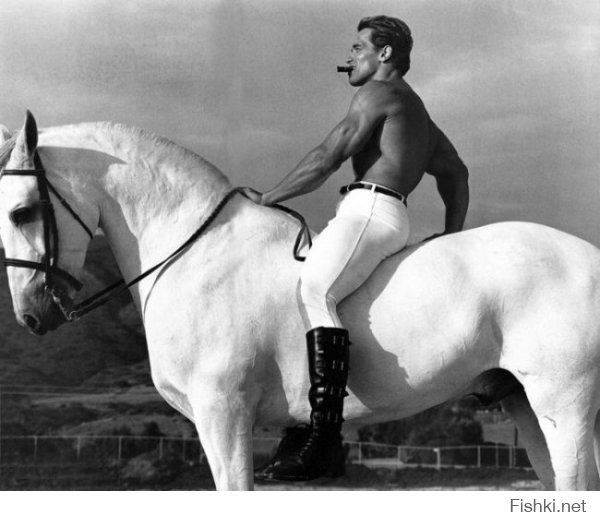 ... и принц на белом коне