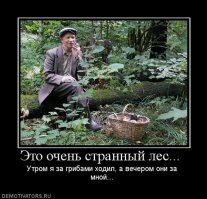 Декоративные грибы своими руками