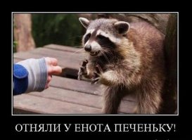 Интересные факты о разном