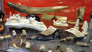 Года два назад на Московском ВДНХ заходил на выставку изделий из бивней и кости, находится в том же павильоне где чучела мамонтов и других вымерших зверей (первое фото). Поделками такое не назвать, много резьбы и труда в этих фигурках и предметах.  Повезло, в тоже время в другом павильоне была выставка народных ремесел, там был стенд где можно было купить разные ископаемые диковины и предметы вырезаные из бивней мамонта, в том числе офигительные мелкие кованые  ножи с костяными ручками и ножнами. Другие стенды тоже порадовали, никогда раньше такого не видел.