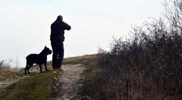 Верно, доказывать ничего не надо, собака действительно лучший друг человека. 
За тысячелетия вместе, собака научилась понимать интонацию, мимику, жесты, она умеет осознанно ПОМОГАТЬ, принимая самостоятельные решения и выполнять приказы.
