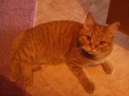 вот моя козявка:)