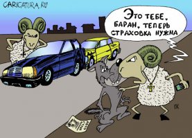 Два барана не поделили полосу