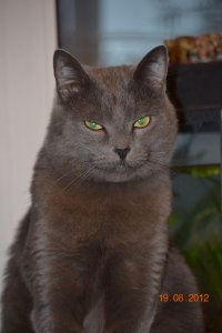 мой конечно поменьше