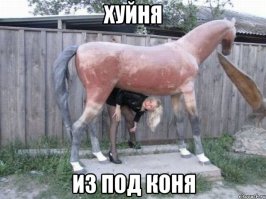 В осину упоролись, сука!!!!!!