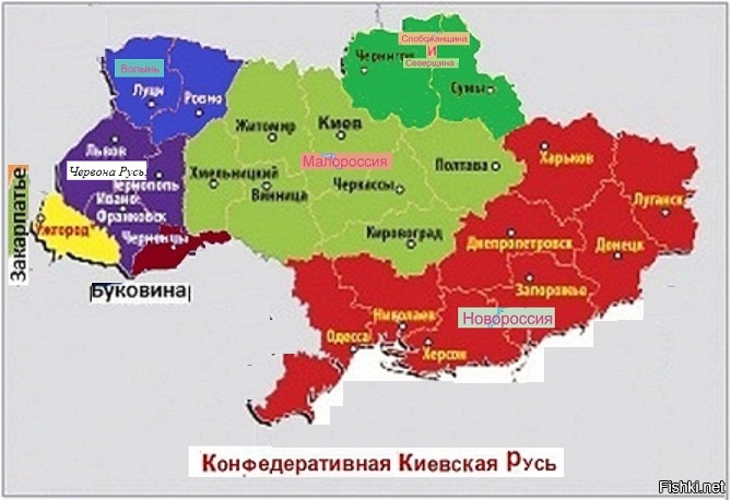 Восточная галиция. Буковина на карте Украины. Галичина на карте. Волынь на карте. Волынь Галиция Буковина на карте.