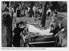 Гулг в помощь. Бромберг или Данцигская резня. Изучай.