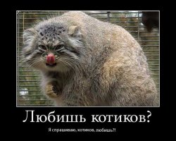 Пятничная подборка  демотиваторов