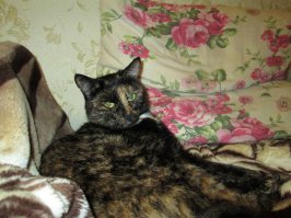 Мисс грация моя Джесси!