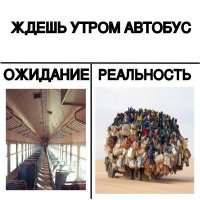 Ожидания и реальность