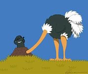 Огородникам на заметку