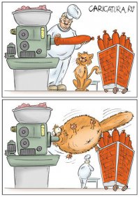 Рыжая кошка в доме — это кусочек солнышка!