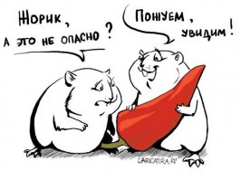 6 аргументов в пользу перца чили