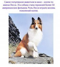 Интересные факты из мира кино 