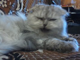 Отвалииии)))