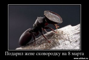 Мужики, что дарить будем?