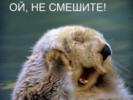 А вы знали, что...