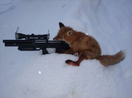 Девочка, которая получает подарки от птиц