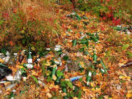 Вот также и наши далекие потомки найдут нашу мусорку городскую и скажут "смотри, артефакты древней цивилизации!!! Доширак называлась!" :)