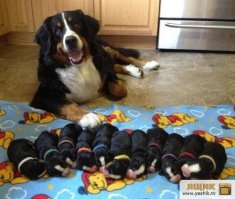 Тоже многодетная мама :)