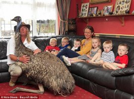 10 самых необычных домашних животных