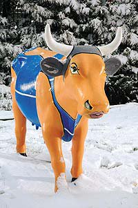 Джессика Альба на пляже 