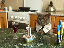 Уникальные торты на детский день рождения 