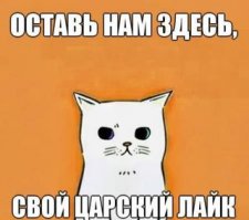 История. Дождь