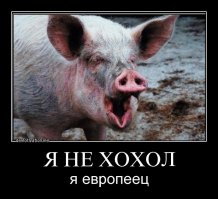 Как мне достались халявные 10 рублей 