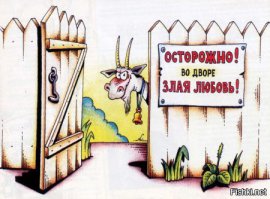 Дело в морде