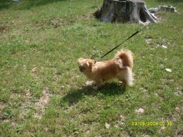 Это моя Симона!!!