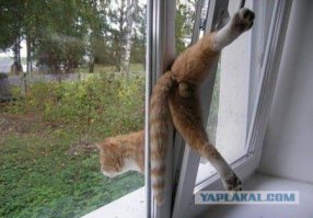 Тоже застрял...