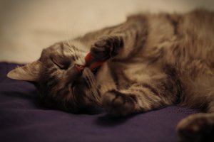 забирайте еще =)