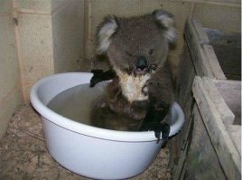 Фотоподборка за 24.04.2015