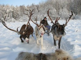 Думаю можно не обольщаться ... после такого варварского разбазаривания энергоресурсов неким плешивым дядькой ... Большинство Россиян в будущем ждет это...