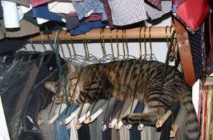 Самые удивительные и необычные кровати   