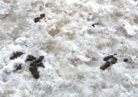 У каждого своя причина ненавидеть весну... (извините, что не совсем в  тему)