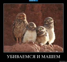 Осторожно! Баян!)