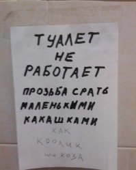 Объявления, которые расскажут вам все о России