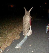 Товарищи сказали принести еще пивка...