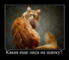 Мне эта подпись больше нравится... Драматичнее.