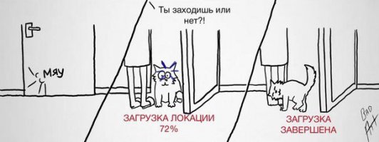 19 кошек, у которых жизненный кризис, потому что их не пускают домой