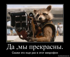 Боже, храни енотов!