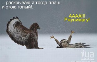 Фотоподборка за 16.03.2015