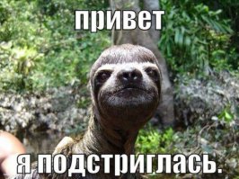 Фотоподборка за 16.03.2015