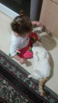 у родни кот злой! никого к себе не подпускает! ни погладить! ни поиграть! кусает сразу! кидается! а вот какая картина получается когда мы приходим к родне в гости! это младшая дочь, отроду  полтора года! котяра сам подползает! ложится рядом! и всё! без чувств! что она только не делает с ним! ;)