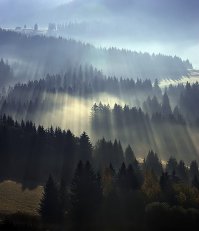  15 впечатляющих снимков без использования фотошопа за март 