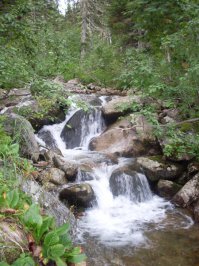 в этом случае побыть в одиночестве, мне кажется, это пойти в горный лес с палаткой, развести костерок и , помешивая ложкой в котелке, пялиться на всю эту красоту сверху, а рядом, мирно спящий, твой пёс...вот как это делаю я