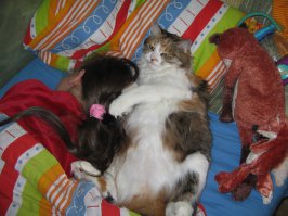 20 кошек, которым действительно нужны выходные