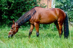 Согласна, что это просто развлечение, но почему бы и нет)